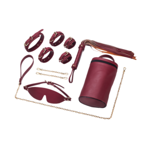 Fangqu BDSM Silicone Bondage Ten Piece Set