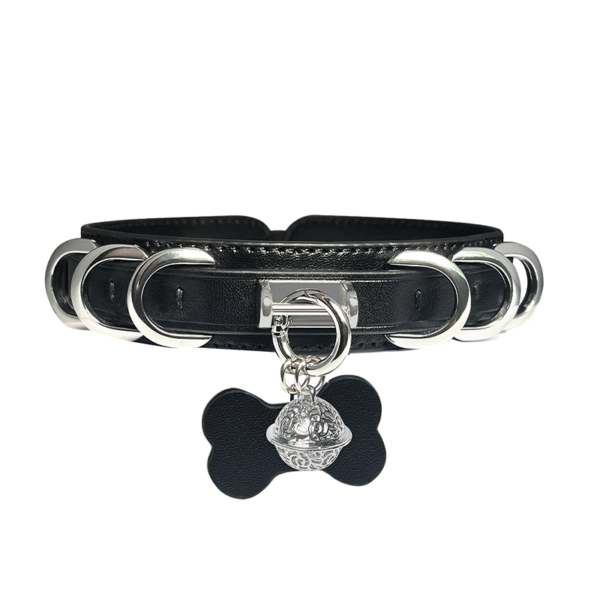 Leather Collar Domino